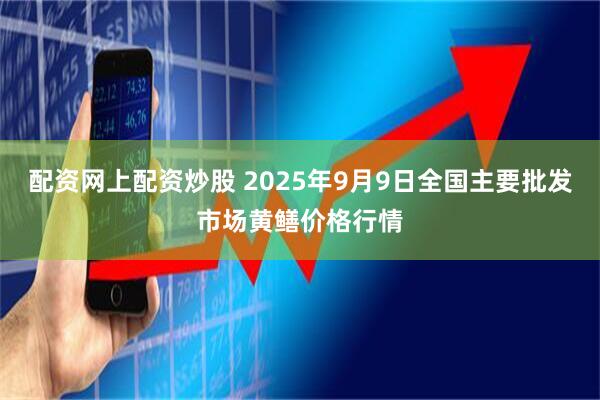 配资网上配资炒股 2025年9月9日全国主要批发市场黄鳝价格行情