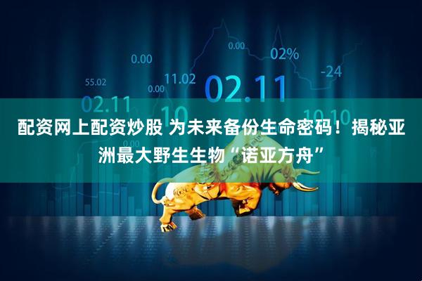 配资网上配资炒股 为未来备份生命密码！揭秘亚洲最大野生生物“诺亚方舟”