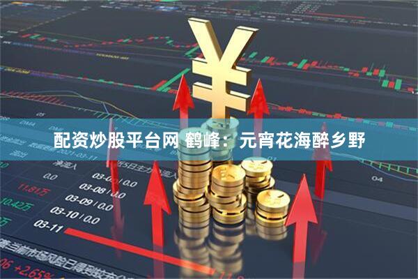 配资炒股平台网 鹤峰：元宵花海醉乡野