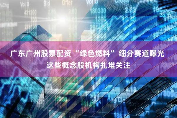 广东广州股票配资 “绿色燃料” 细分赛道曝光 这些概念股机构扎堆关注